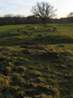 Auchelaich Long Barrow